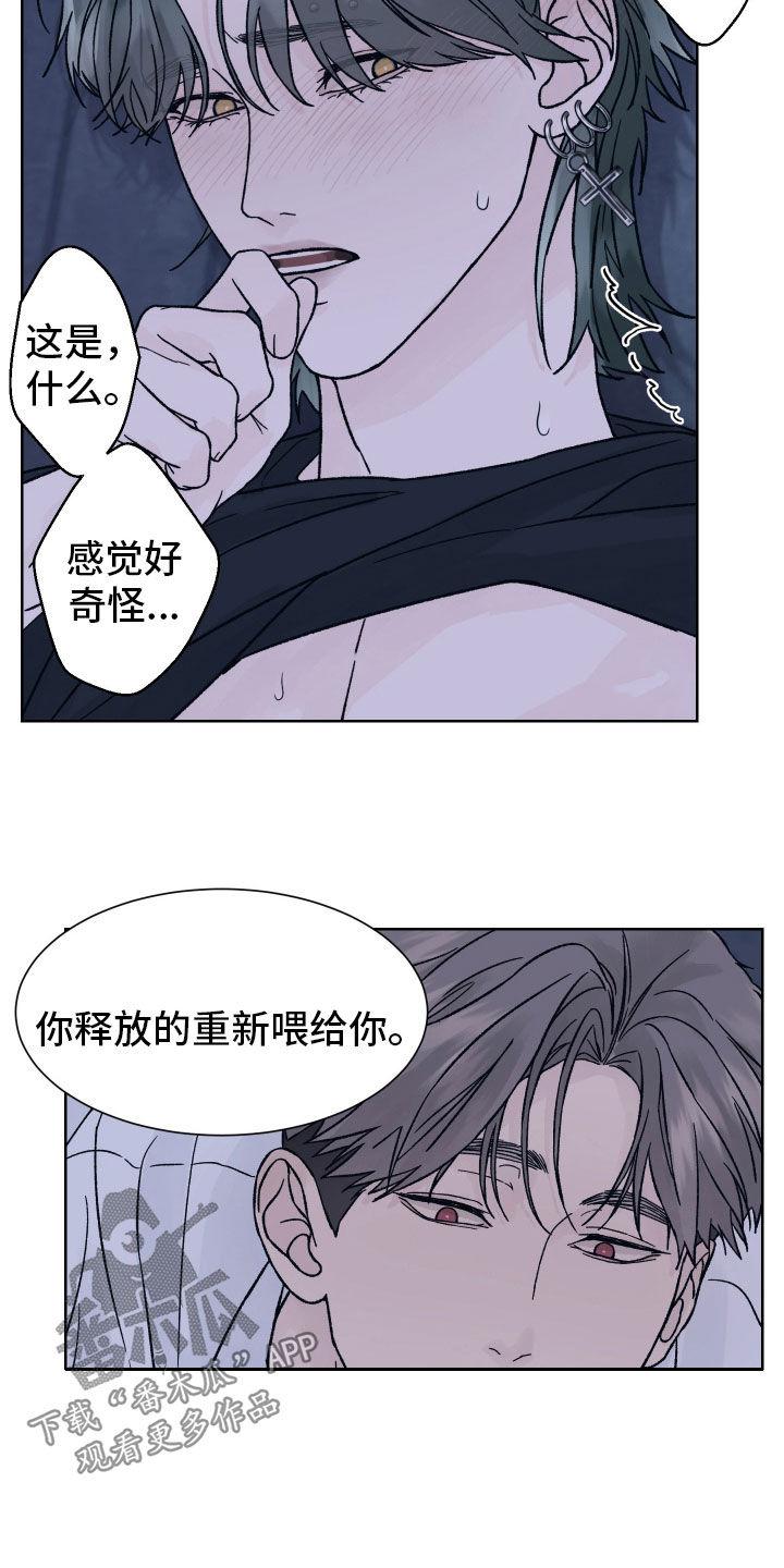 《狂夜追凶》第56章：别催我 第6页