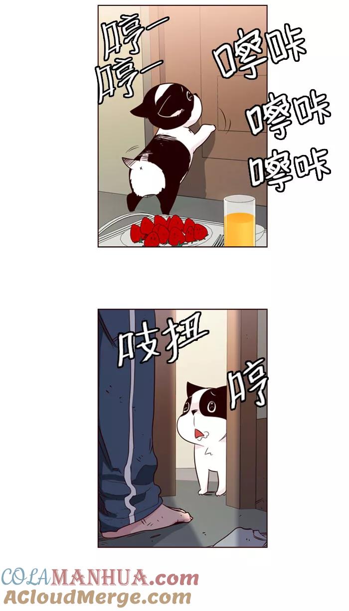 《狂野少女》第112话 第5页