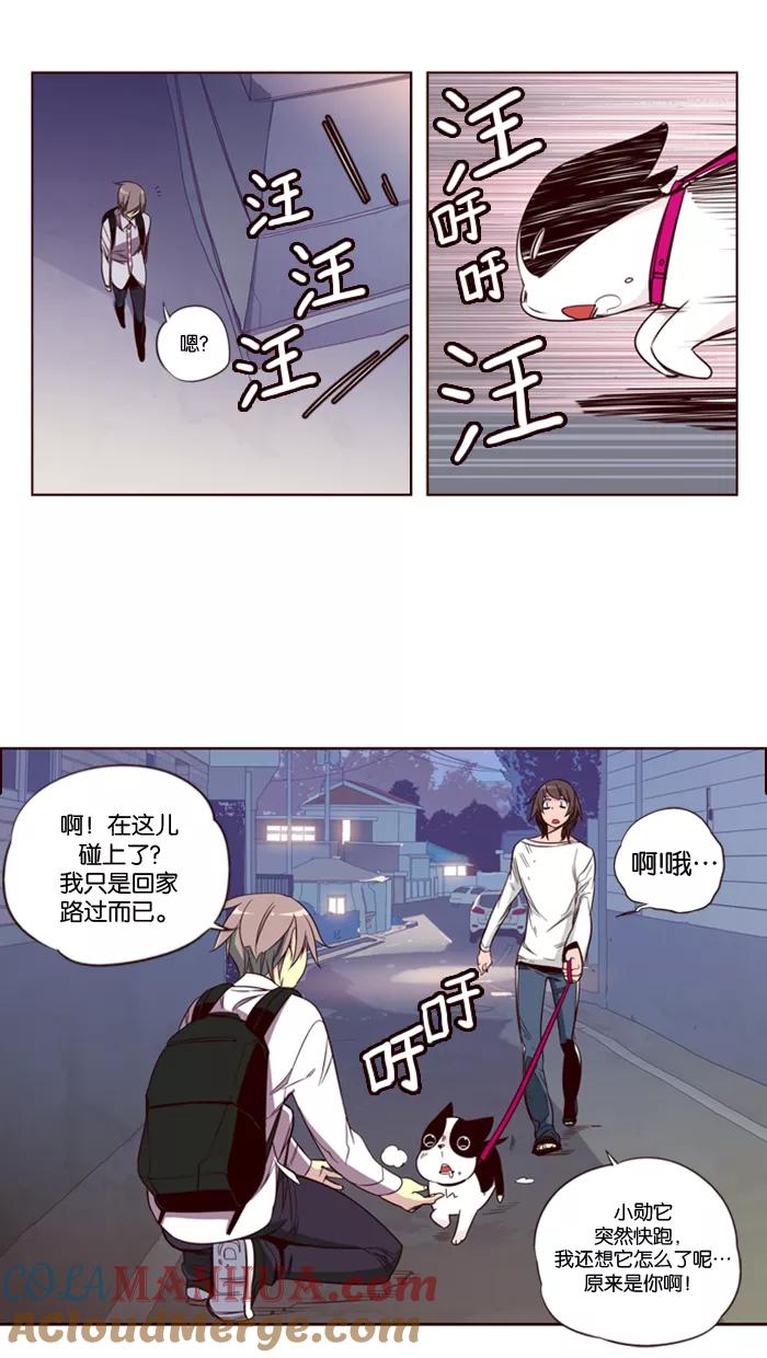 《狂野少女》第118话 第17页