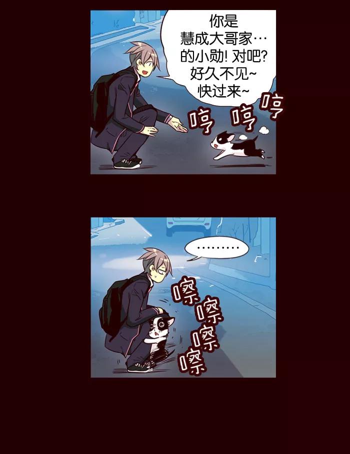 《狂野少女》第154话 第26页