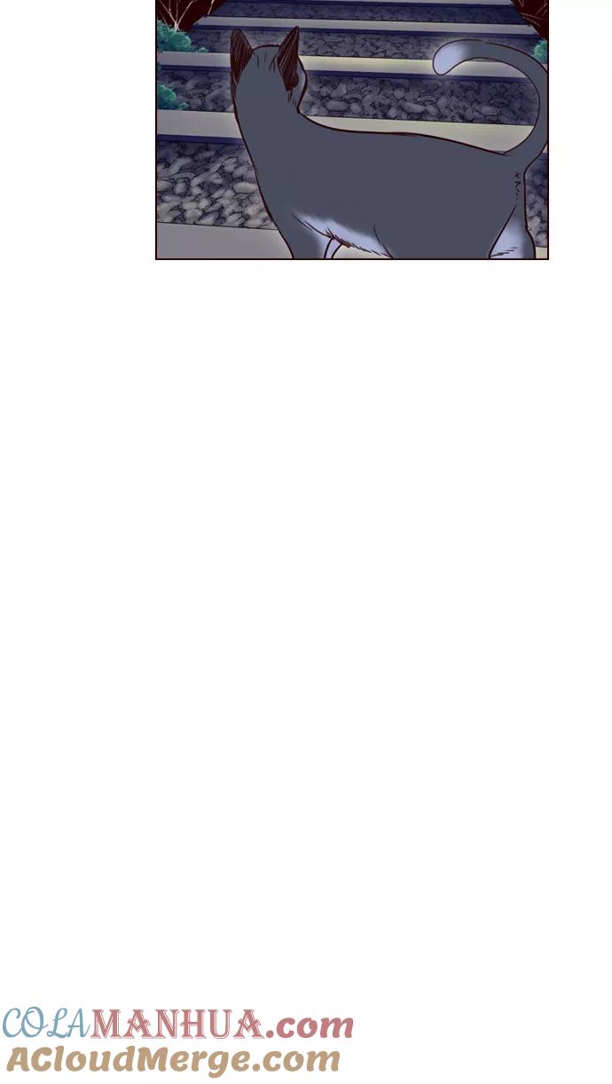《狂野少女》第216话 第37页