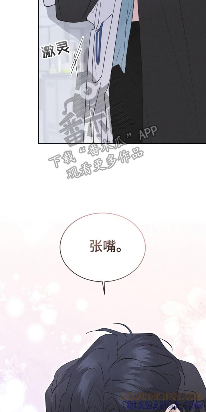《彩虹城》第108章：【第二季】到此为止 第7页
