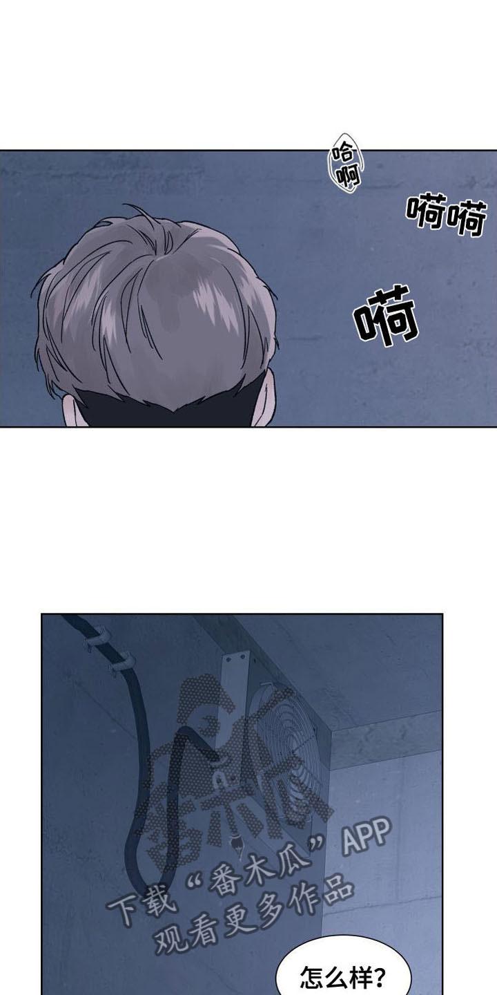 《狂夜追凶》第11章：拷问 第20页