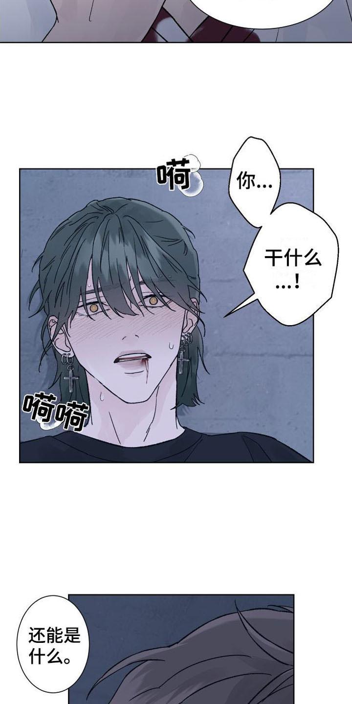 《狂夜追凶》第11章：拷问 第22页