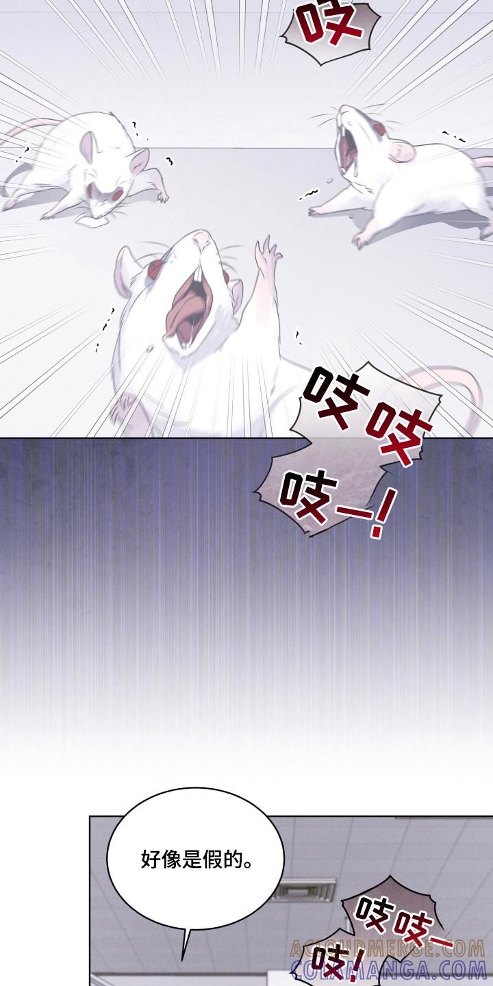 《彩虹城》第110章：【第二季】阳性 第17页