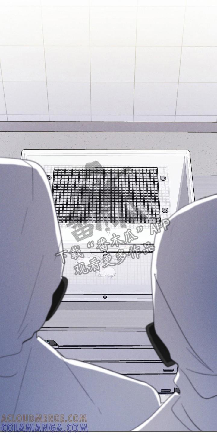 《彩虹城》第110章：【第二季】阳性 第15页