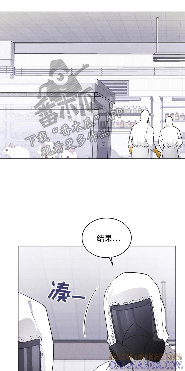 《彩虹城》第110章：【第二季】阳性 第23页