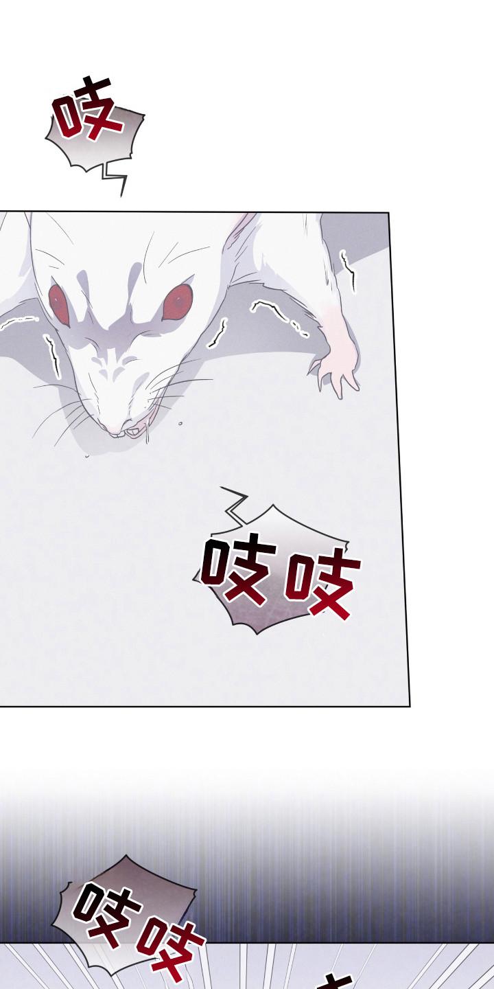 《彩虹城》第110章：【第二季】阳性 第16页