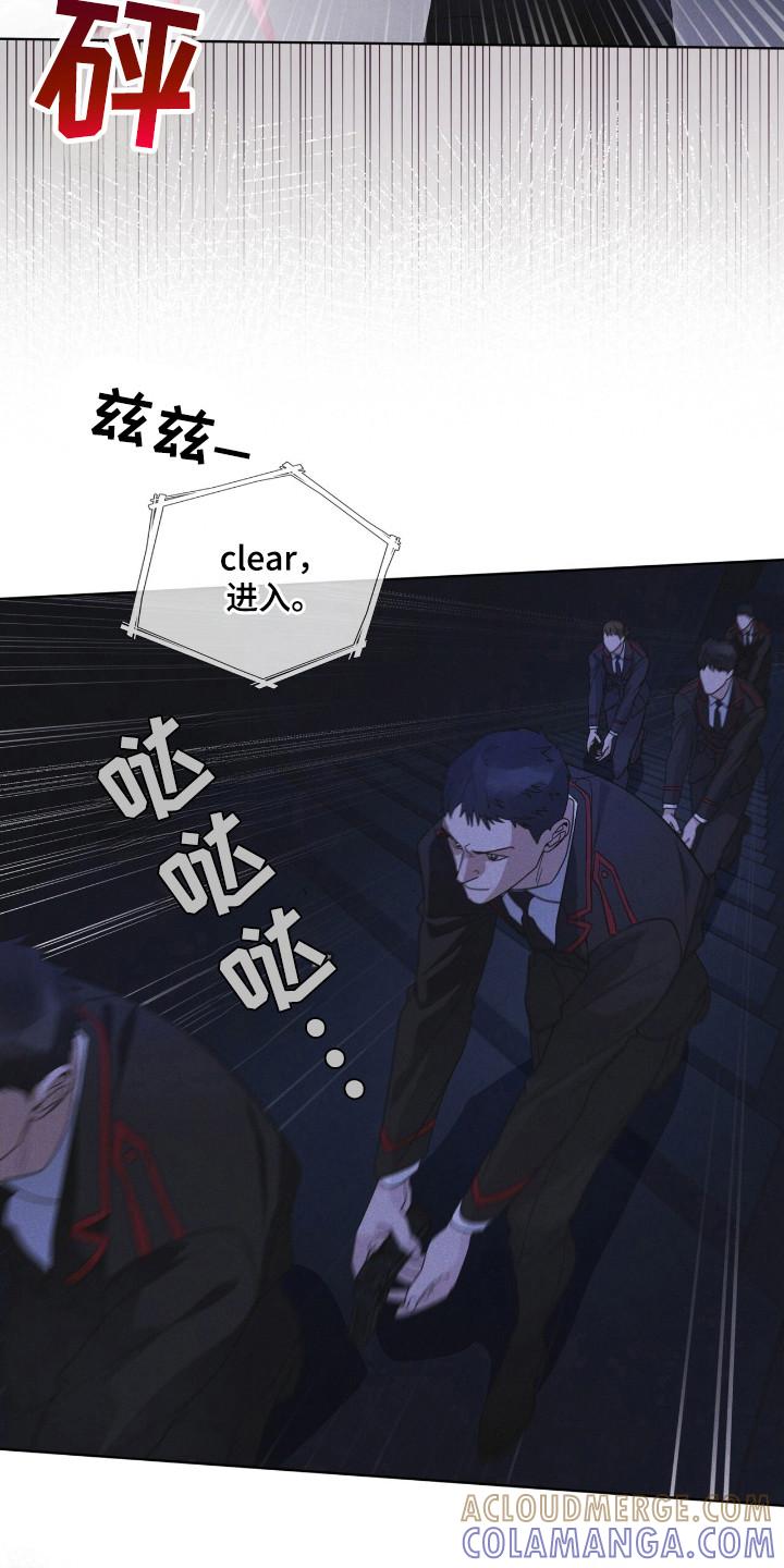《彩虹城》第111章：【第二季】生命之树 第11页