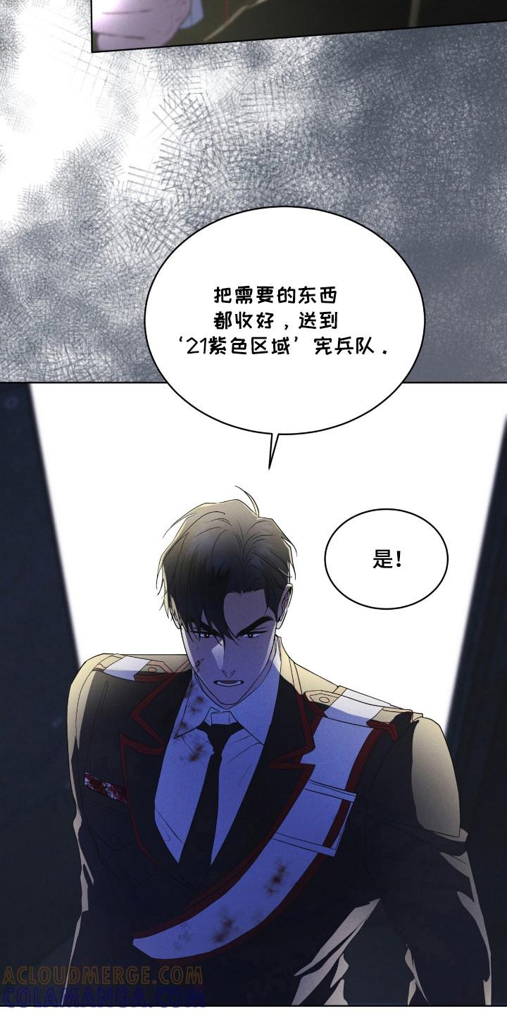 《彩虹城》第111章：【第二季】生命之树 第13页
