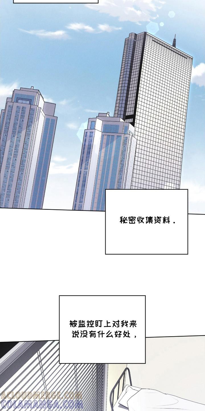 《彩虹城》第116章：【第二季】收集资料 第19页