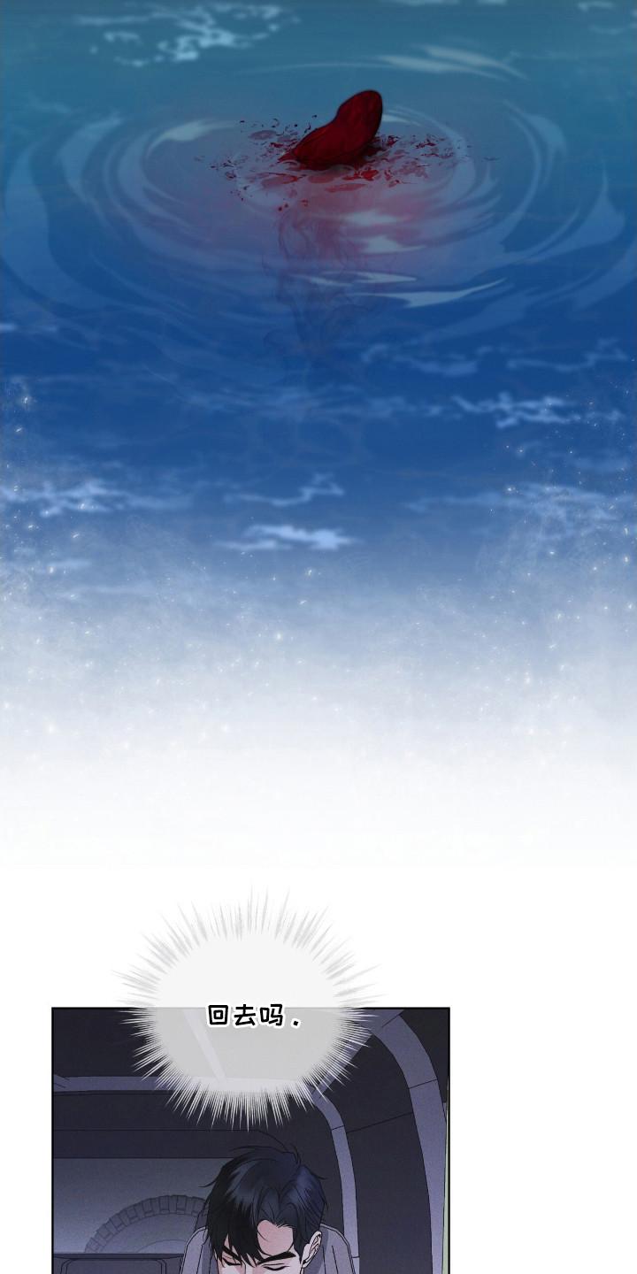 《彩虹城》第116章：【第二季】收集资料 第14页