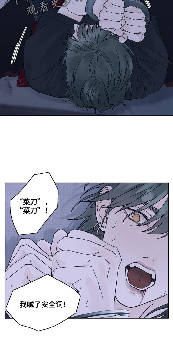 《狂夜追凶》第12章：安全词 第8页