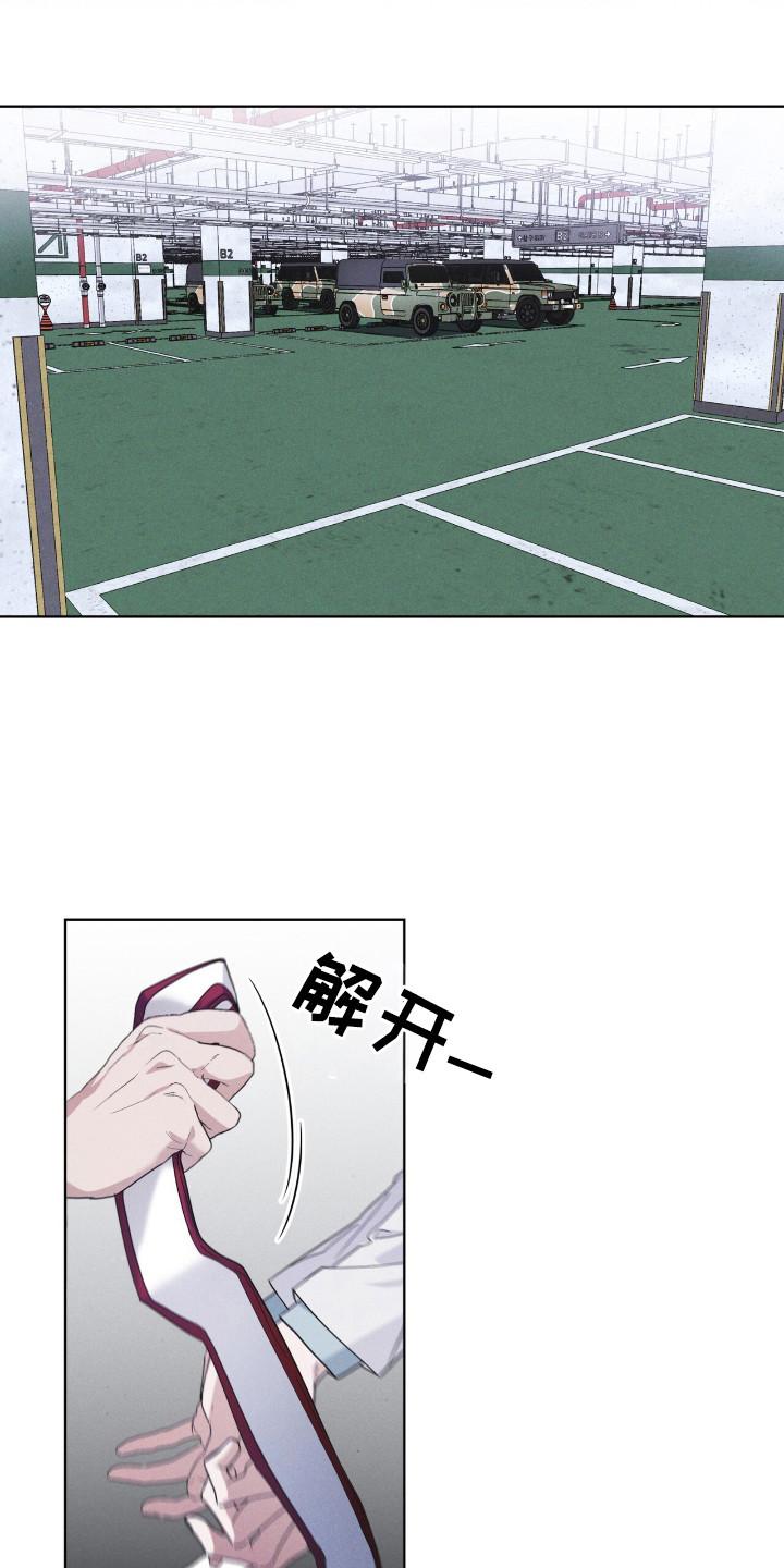 《彩虹城》第125章：【第二季】去毁花田 第14页