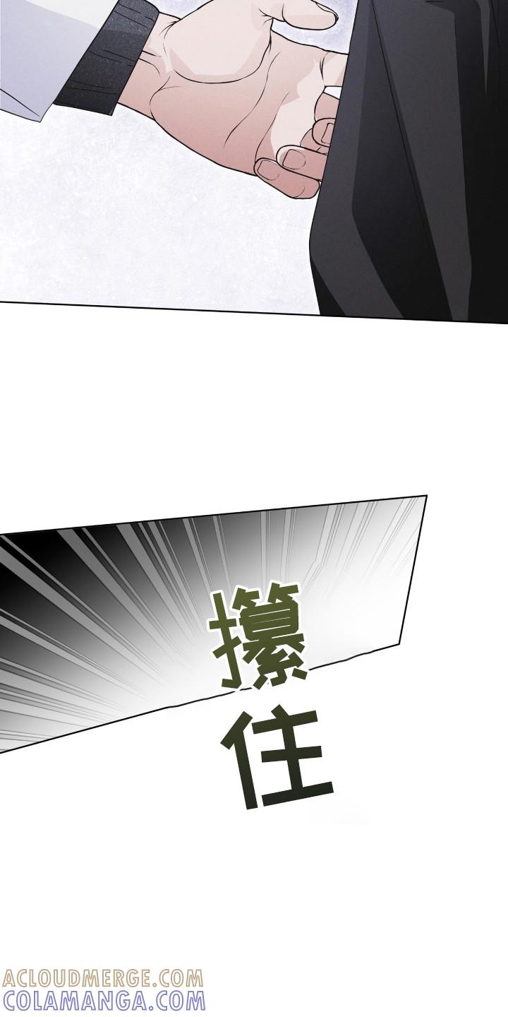 《彩虹城》第125章：【第二季】去毁花田 第5页