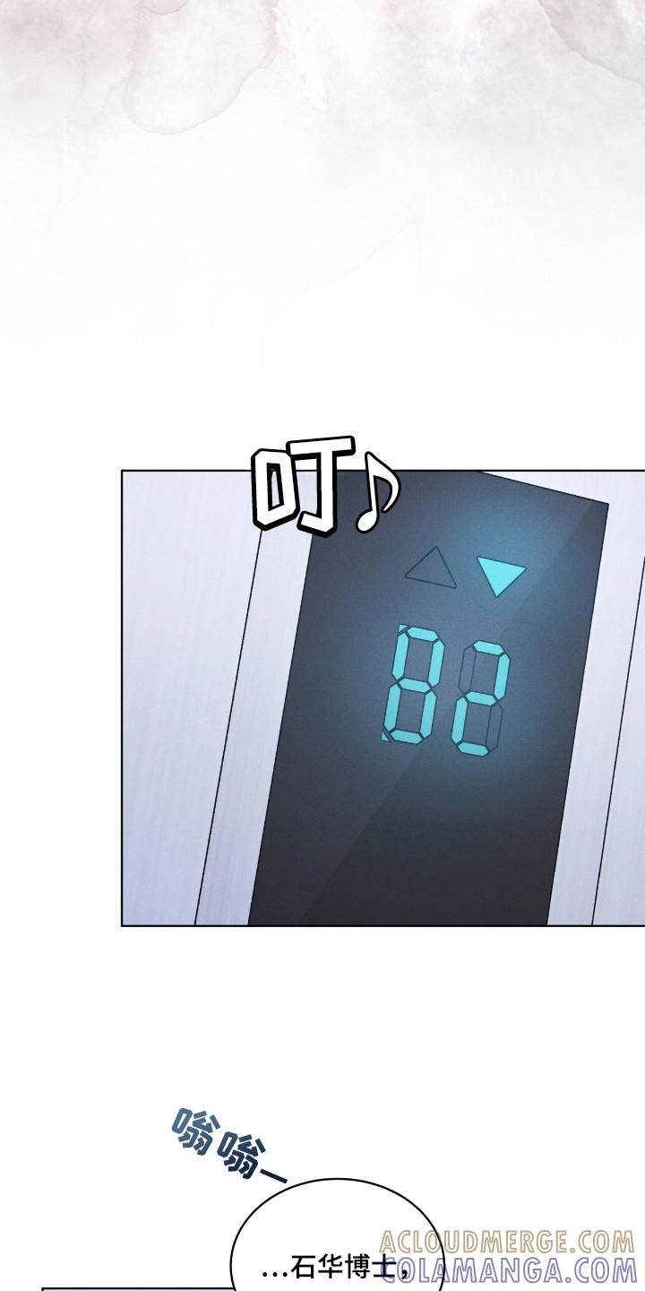 《彩虹城》第125章：【第二季】去毁花田 第9页