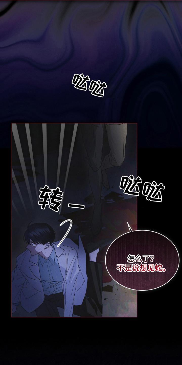 《彩虹城》第126章：【第二季】确认一下 第12页