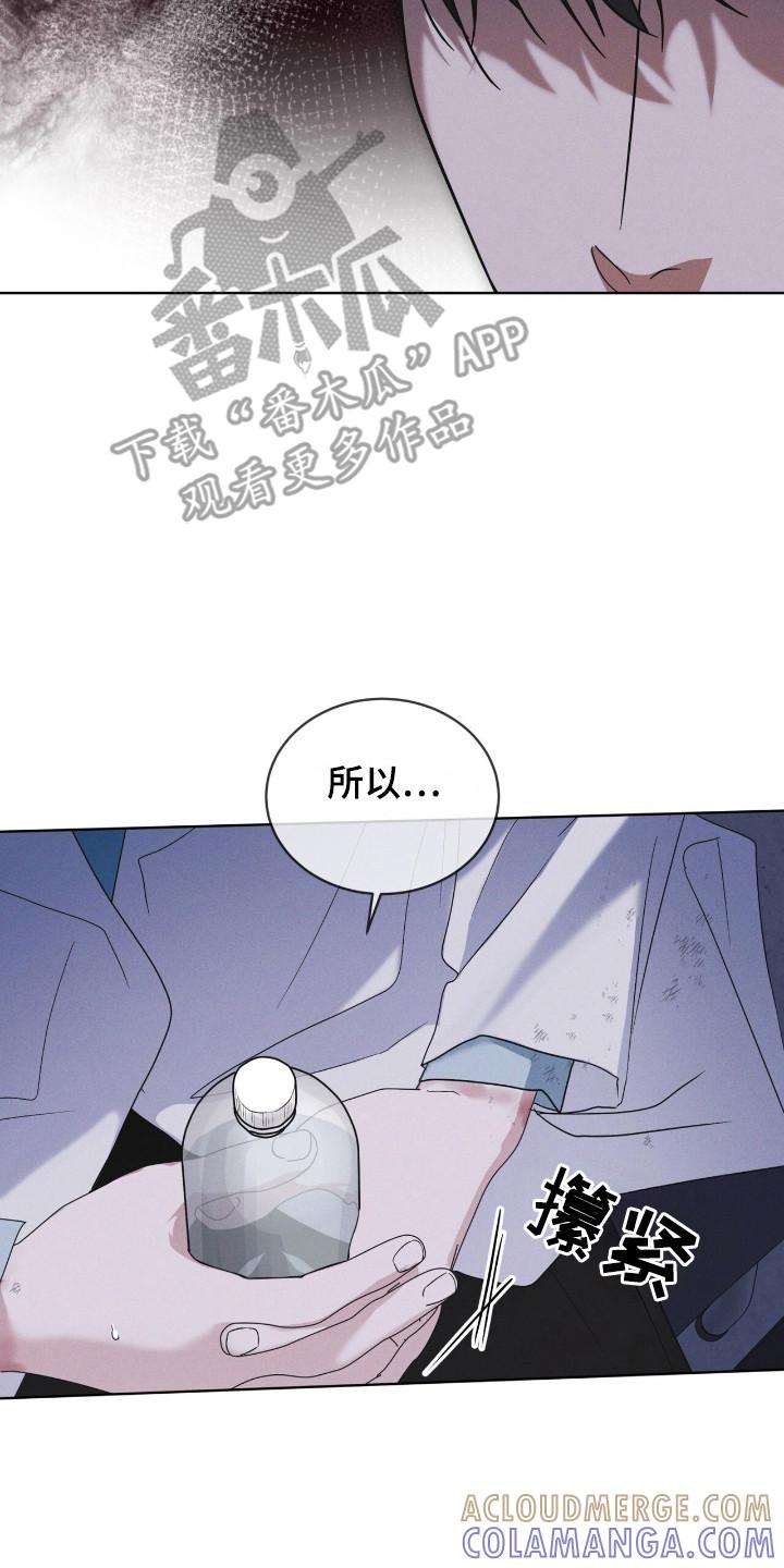《彩虹城》第128章：【第二季】不放弃 第15页