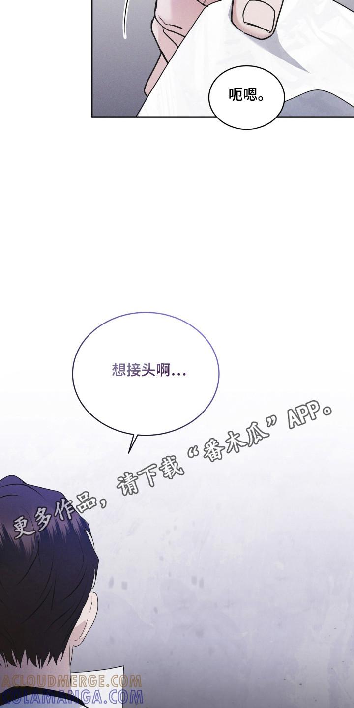 《彩虹城》第129章：【第二季】体型相识 第3页