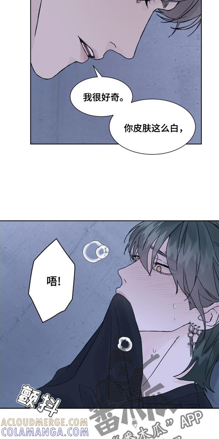 《狂夜追凶》第13章：偏执 第5页