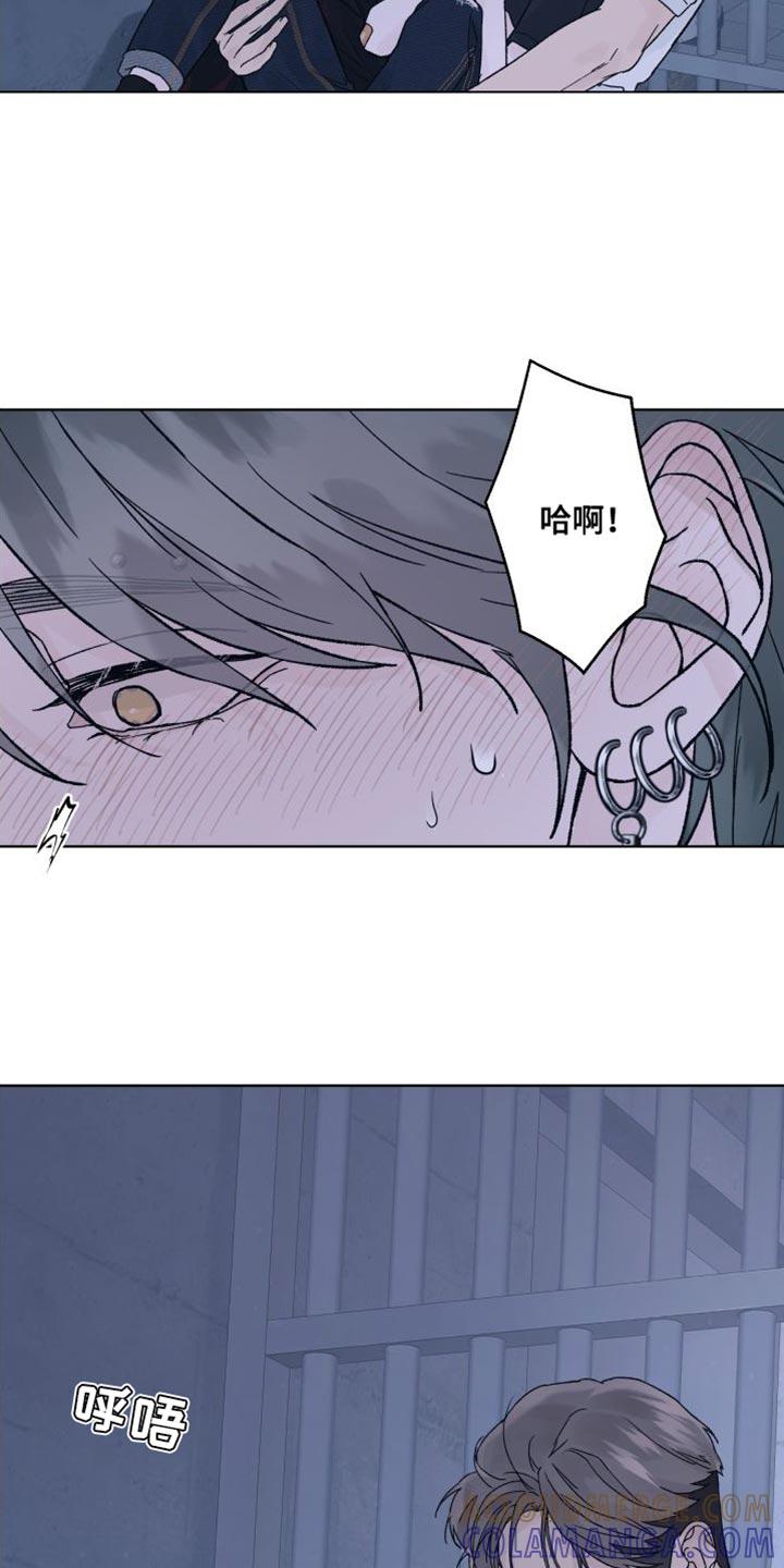 《狂夜追凶》第13章：偏执 第13页