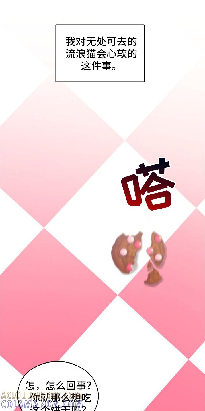 《我的救世主》第13章：第二个弟弟 第13页