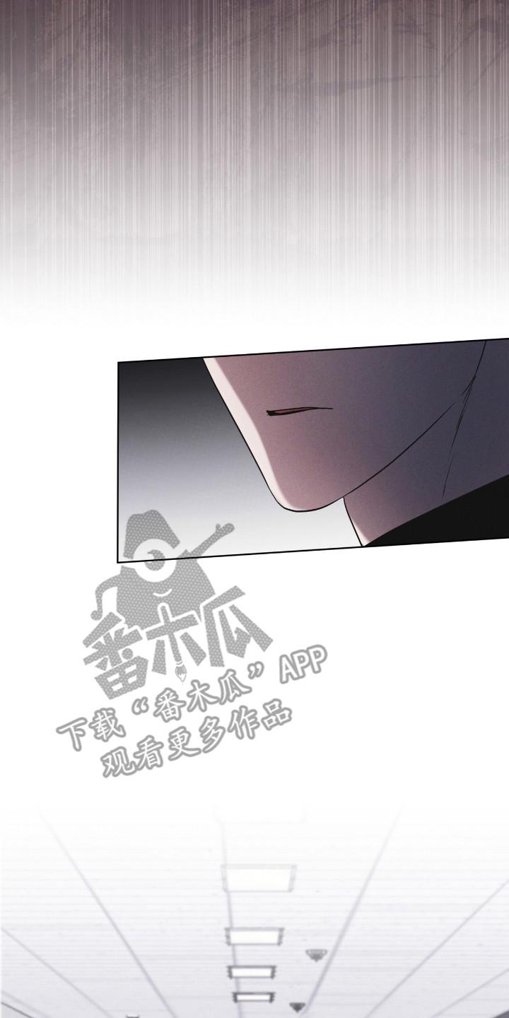 《彩虹城》第130章：【第二季】行踪 第6页