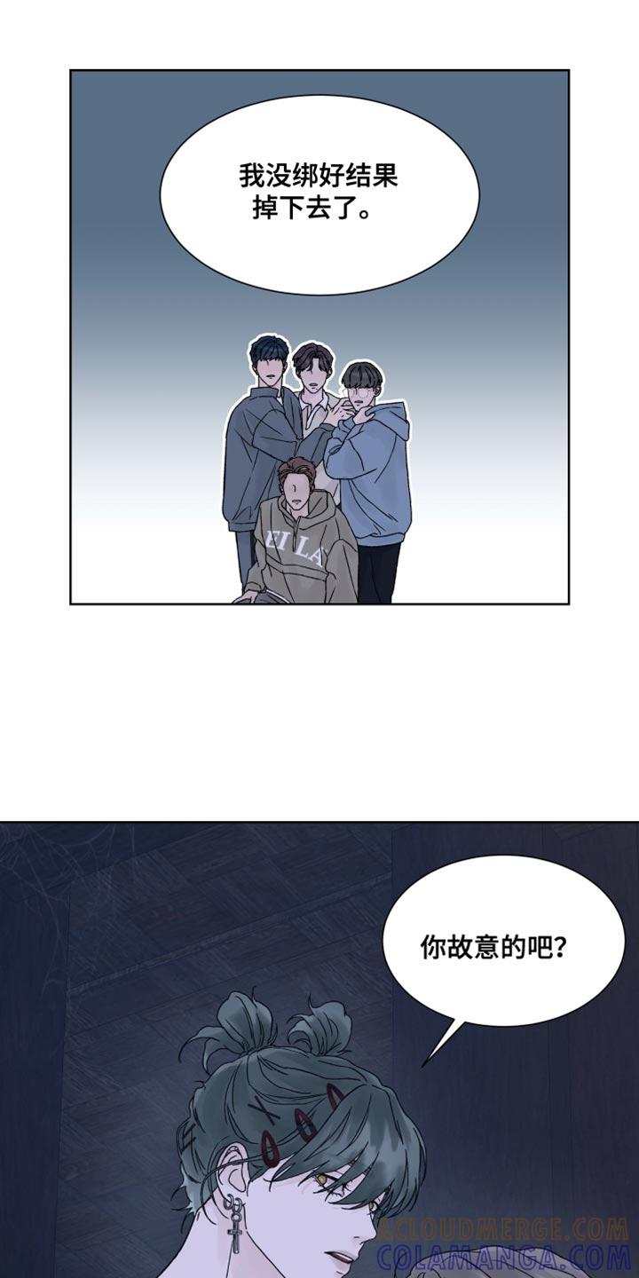 《狂夜追凶》第24章：兔子玩偶 第15页