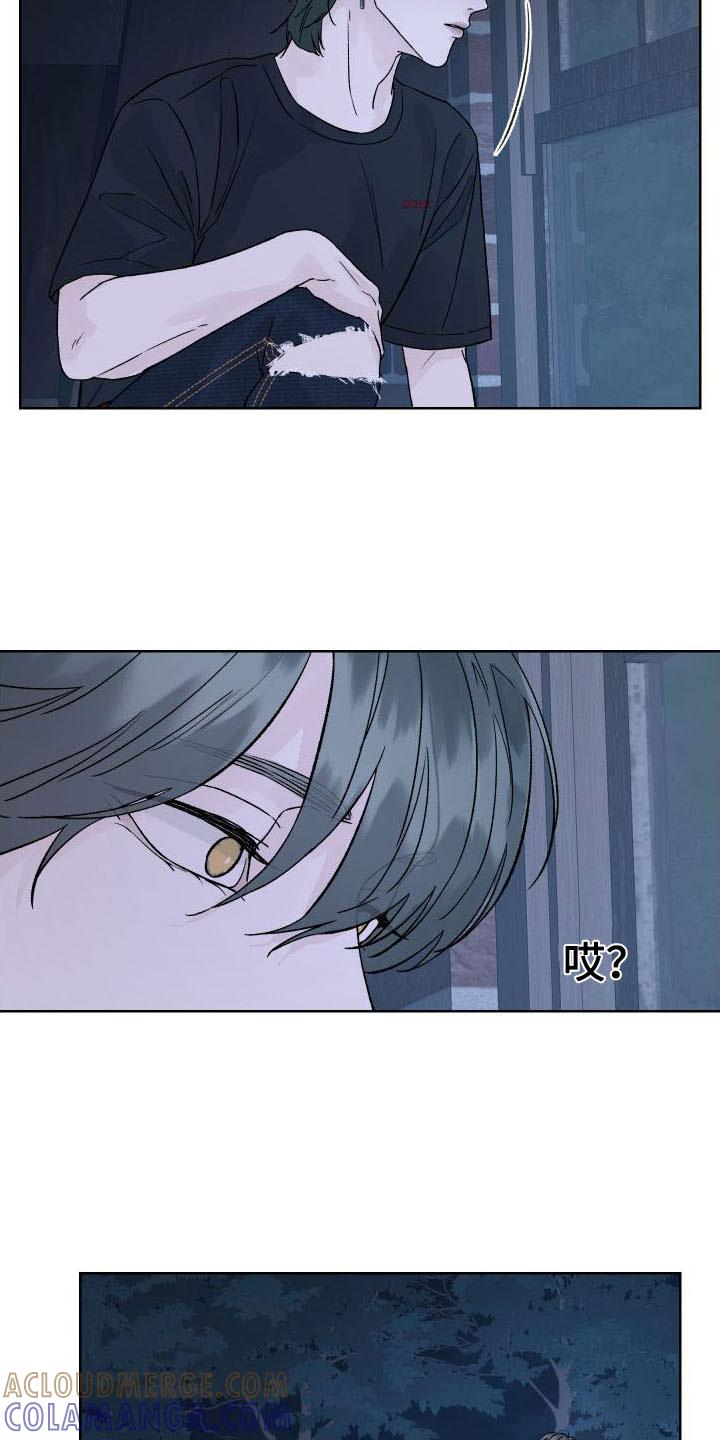 《狂夜追凶》第3章：杀人现场 第19页