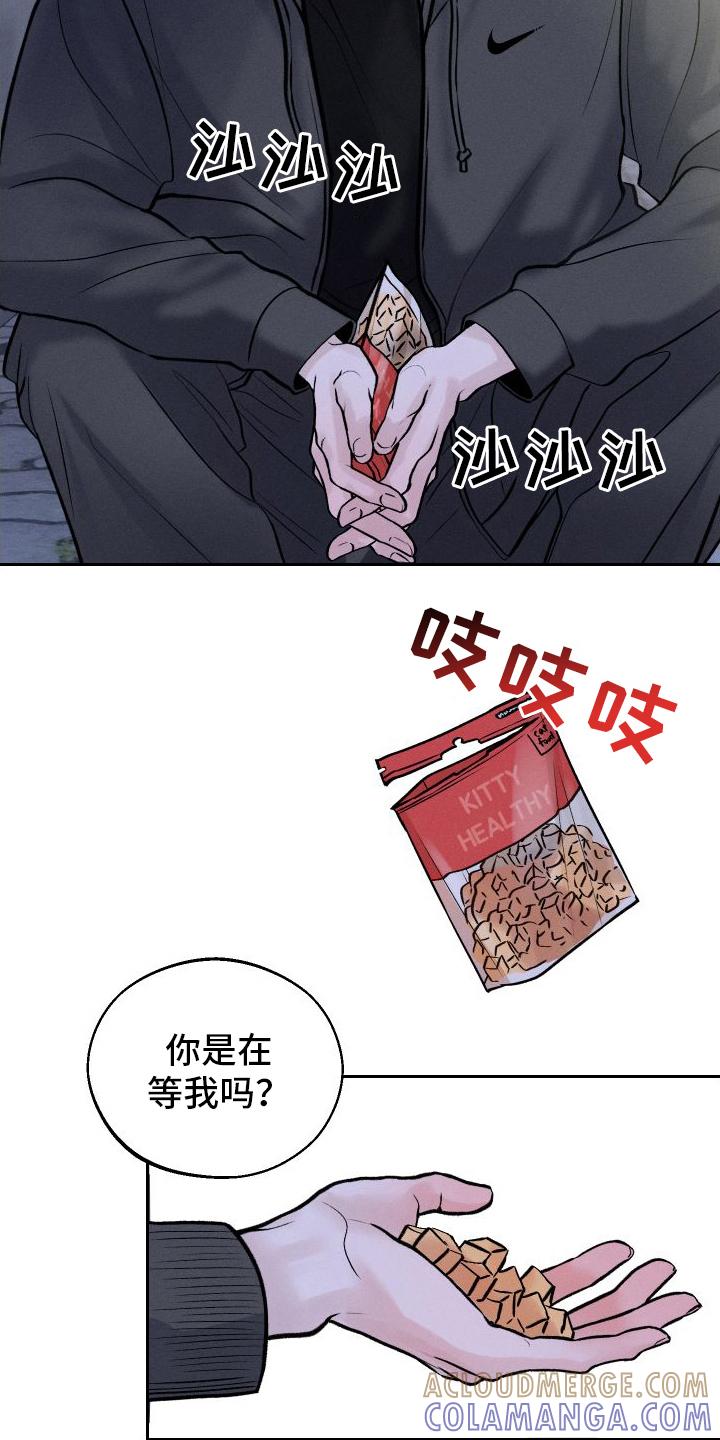 《我的救世主》第8章：胡思乱想 第9页