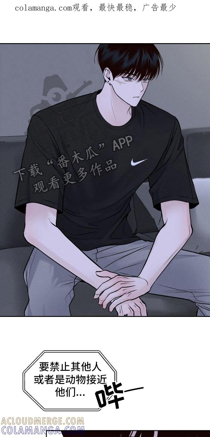 《我的救世主》第8章：胡思乱想 第1页