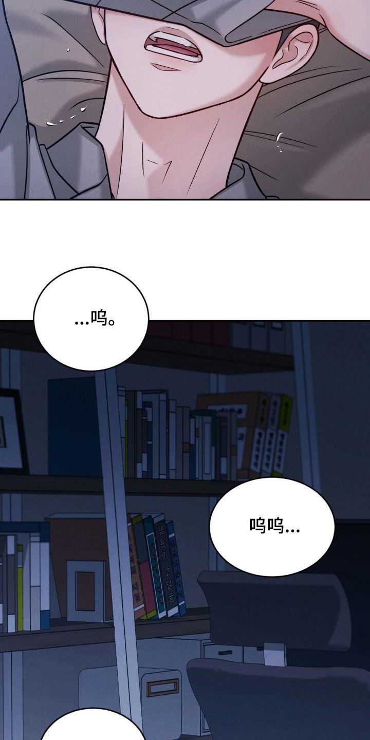 《强制暗示》第87章：【第二季】不是那样的 第14页