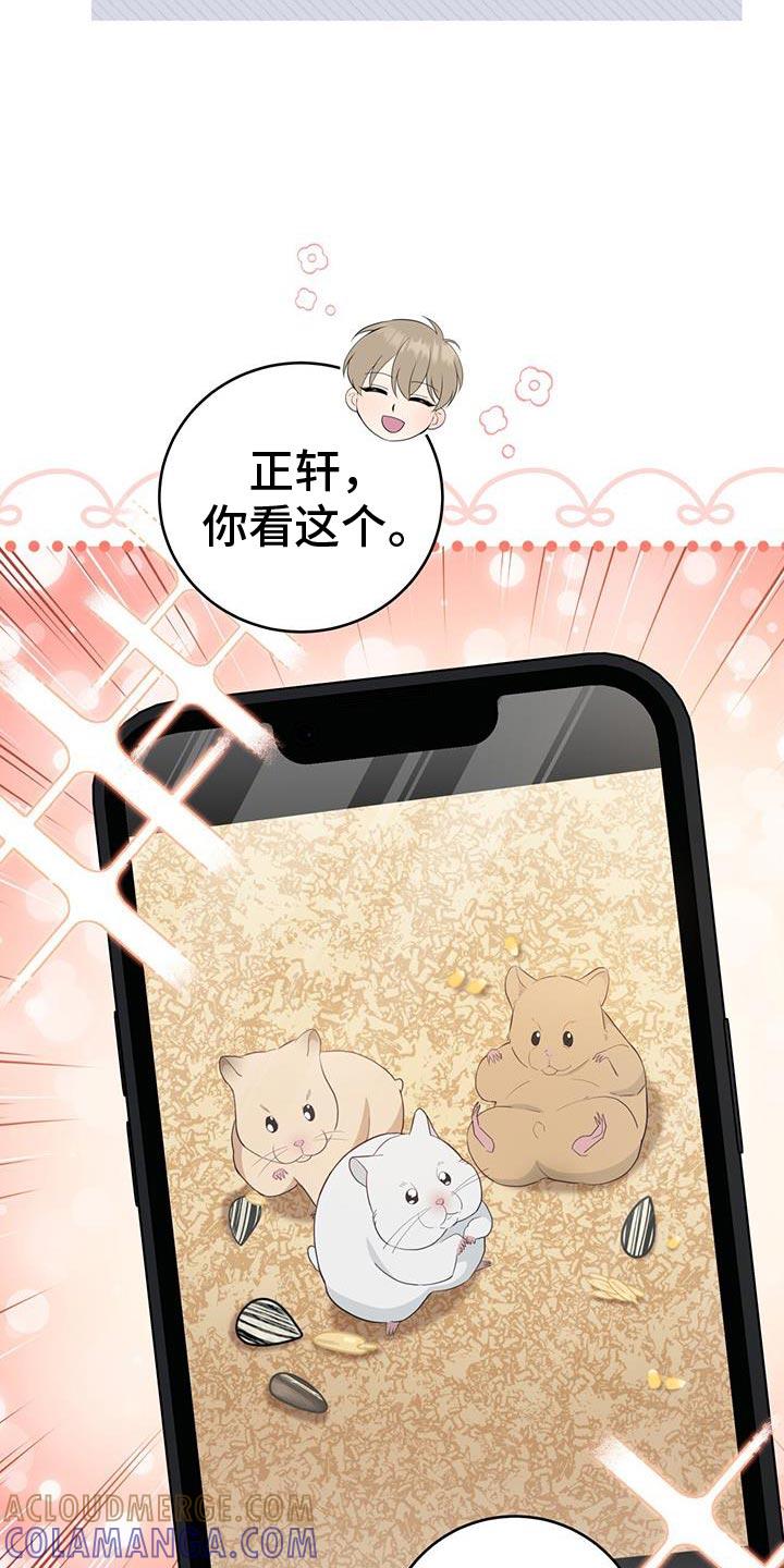 《糖不腻》第90章：【第二季】挑选礼物 第7页