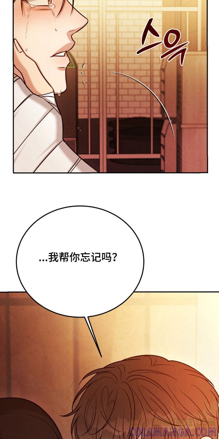 《强制暗示》第94章：【第二季】帮你忘记 第13页