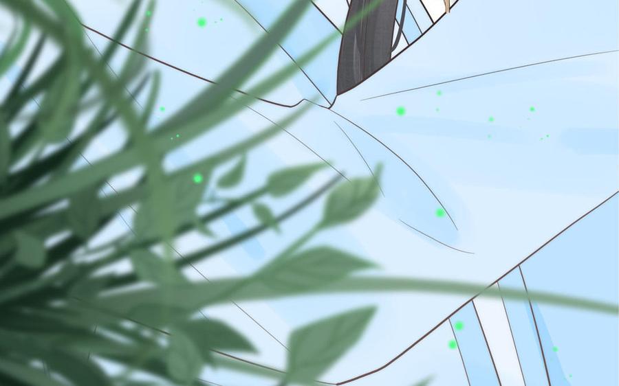 跨越星辰入他师门 第15话 青鸾之墓 第6页
