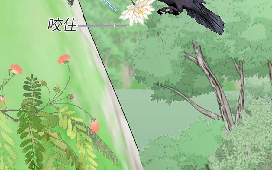 跨越星辰入他师门 第34话 吴涯小乌龟 第48页
