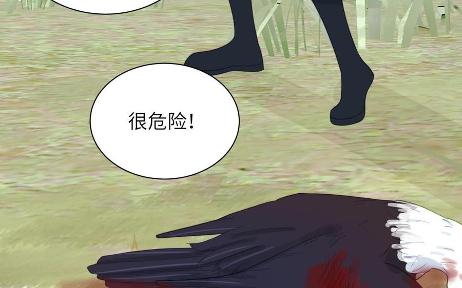 跨越星辰入他师门 第40话 捡到一只鹰 第20页