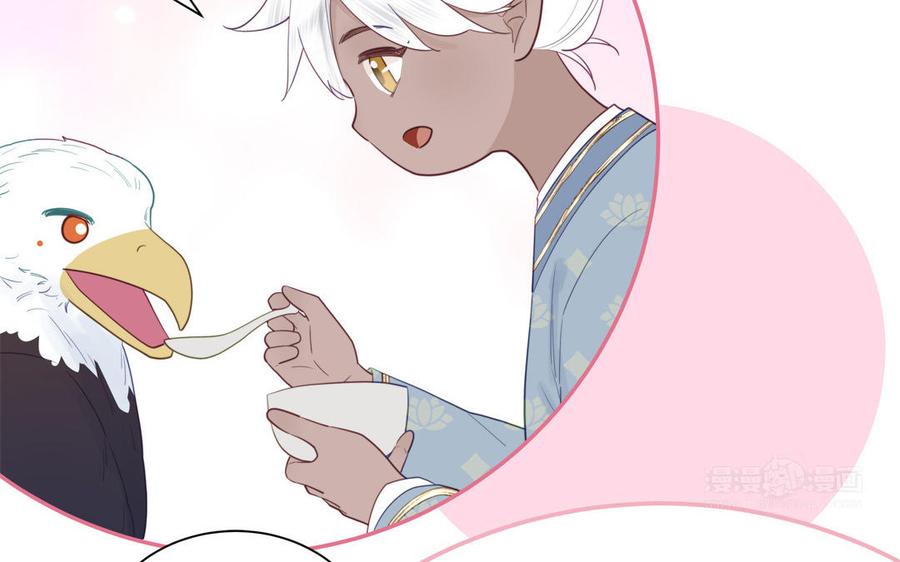 跨越星辰入他师门 第40话 捡到一只鹰 第42页
