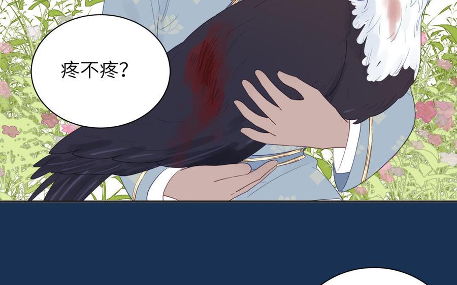 跨越星辰入他师门 第40话 捡到一只鹰 第36页