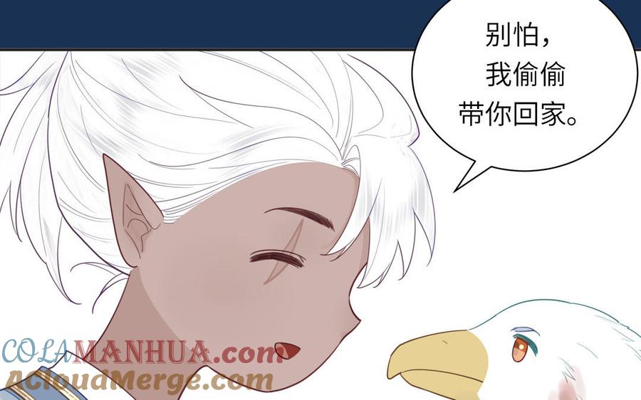 跨越星辰入他师门 第40话 捡到一只鹰 第37页