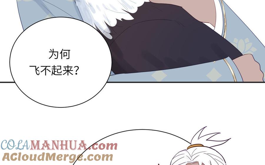 跨越星辰入他师门 第40话 捡到一只鹰 第58页