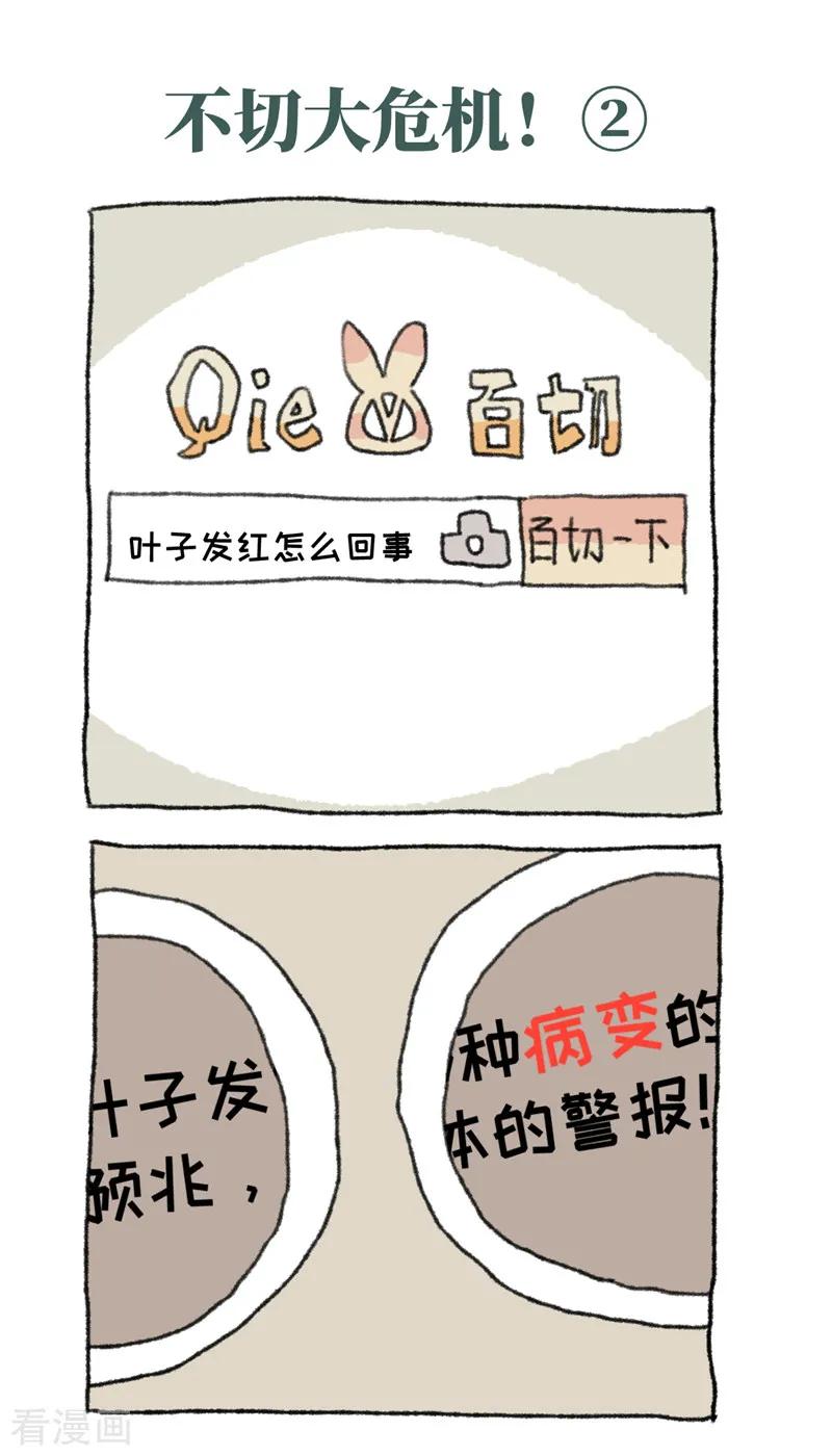 《不切传说》第31话 不切大危机 第4页