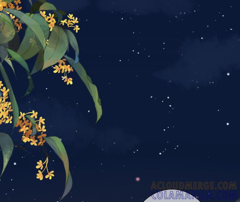 《女票芳龄30十》撩人的玫瑰 第7页