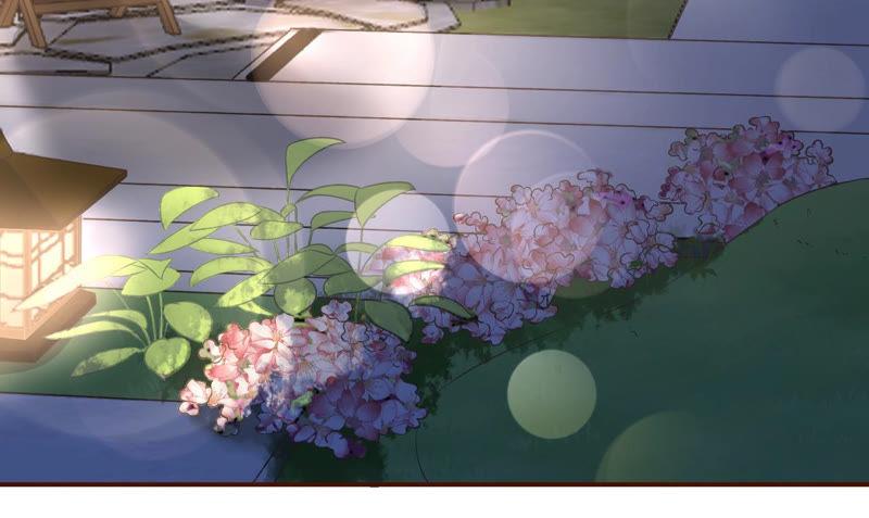 《女票芳龄30十》庆祝 第32页