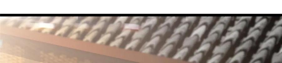 掌门低调点 453 平和又美好的一切 第120页