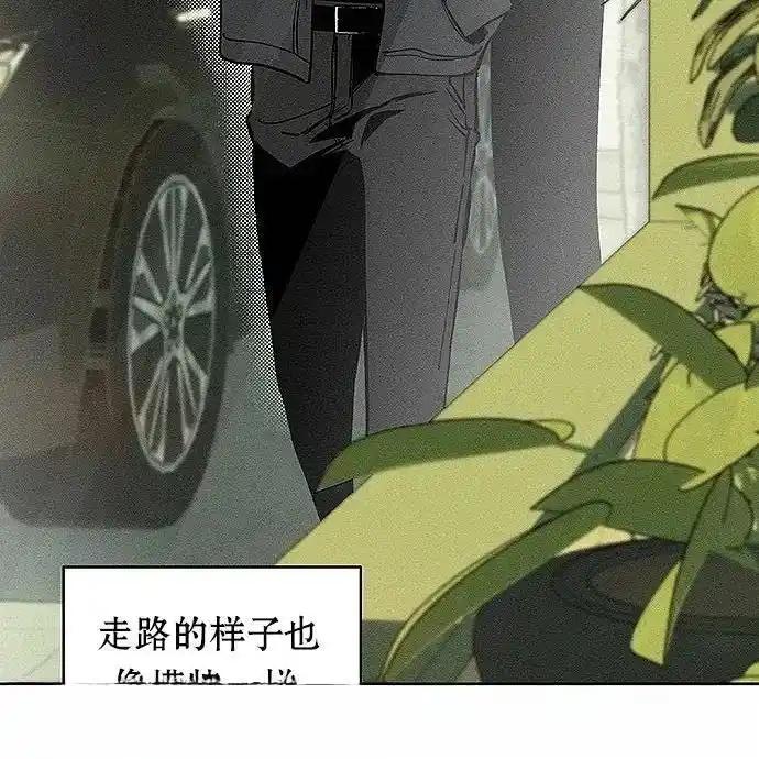 枯萎之花上的眼泪 2 第191页