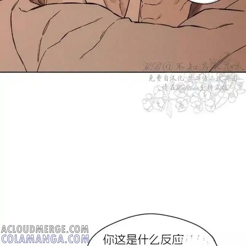 枯萎之花上的眼泪 13 第85页