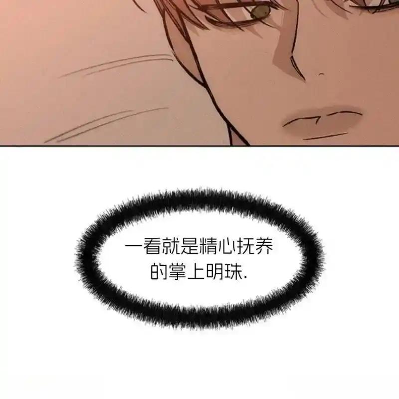枯萎之花上的眼泪 13 第100页