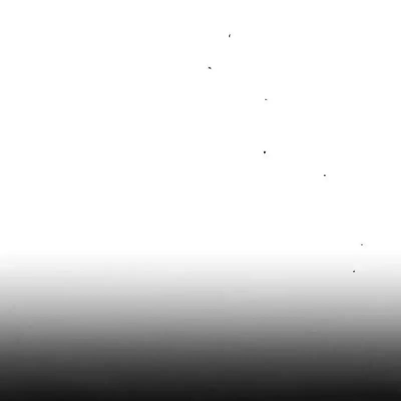 枯萎之花上的眼泪 14 第152页
