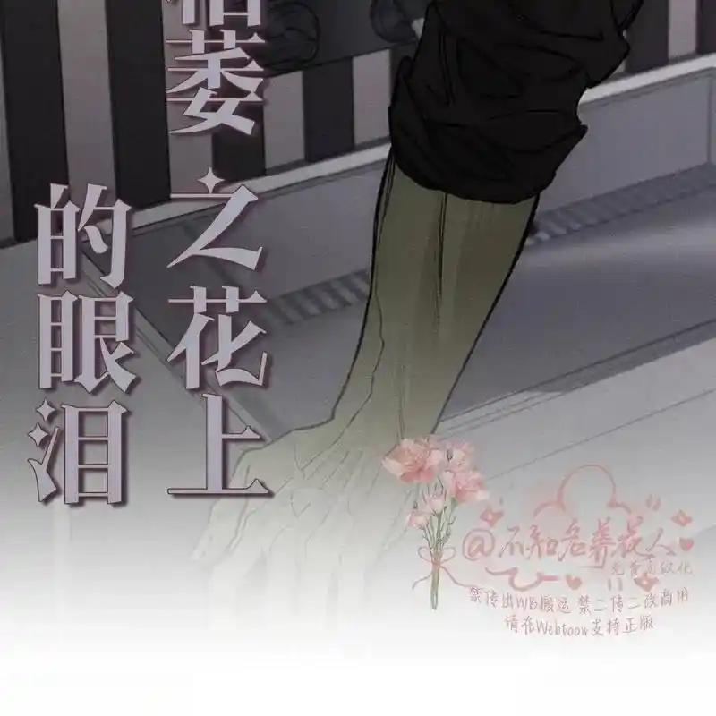 枯萎之花上的眼泪 15 第244页